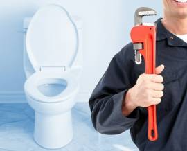 PLOMEROS EN DOSQUEBRADAS RISARALDA 3147535146