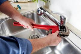 PLOMEROS EN AGUA DE DIOS CUNDINAMARCA 3147535146