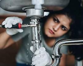PLOMEROS EN AGUA DE DIOS CUNDINAMARCA 3147535146
