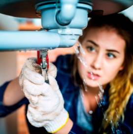 PLOMEROS EN AGUAZUL CASANARE 3147535146