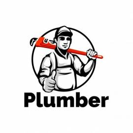 PLOMEROS EN UBATE CUNDINAMARCA 3147535146