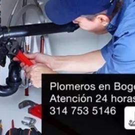 PLOMEROS EN BOGOTA ECONOMICOS 3147535146